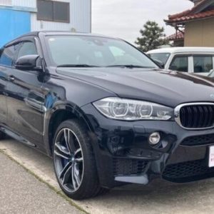 2018 BMW X6